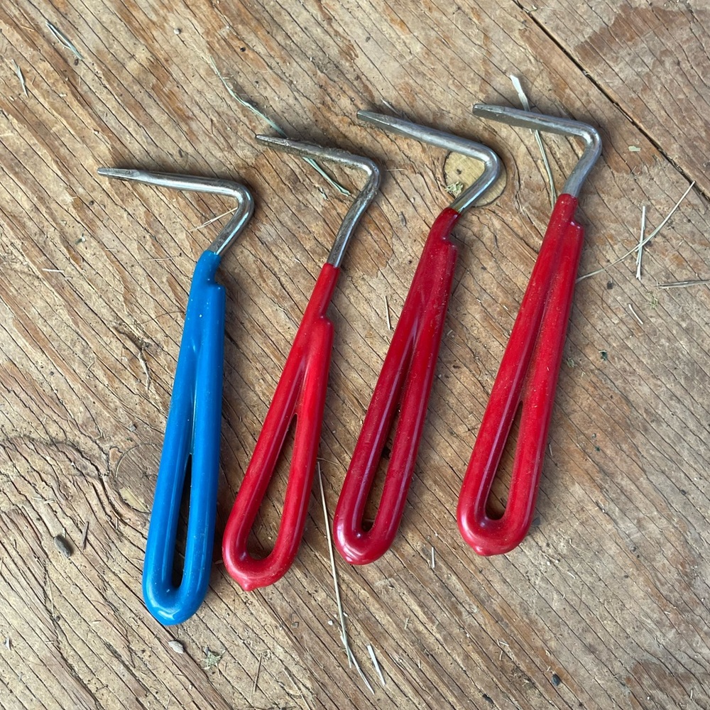 4 hoof picks